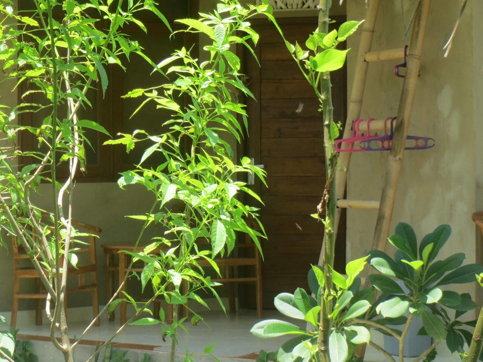Amed Sari Beach Guesthouse Экстерьер фото